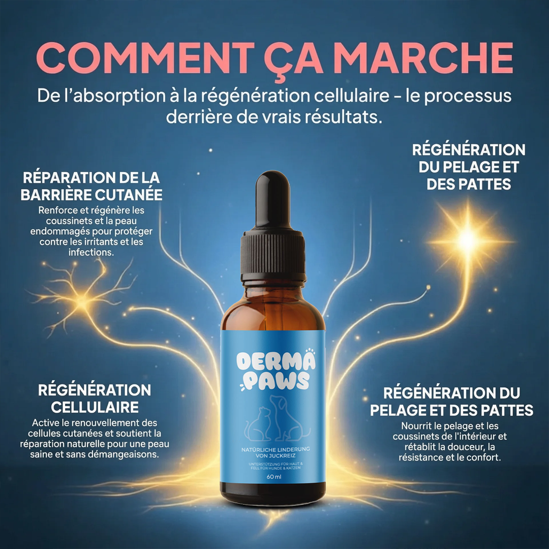 DermaPaws – Gouttes anti-démangeaisons recommandées par les vétérinaires