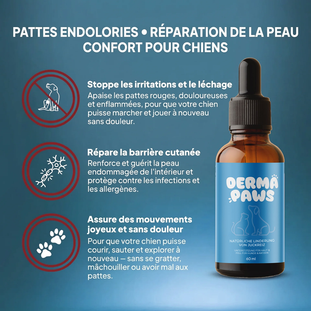 DermaPaws – Gouttes anti-démangeaisons recommandées par les vétérinaires