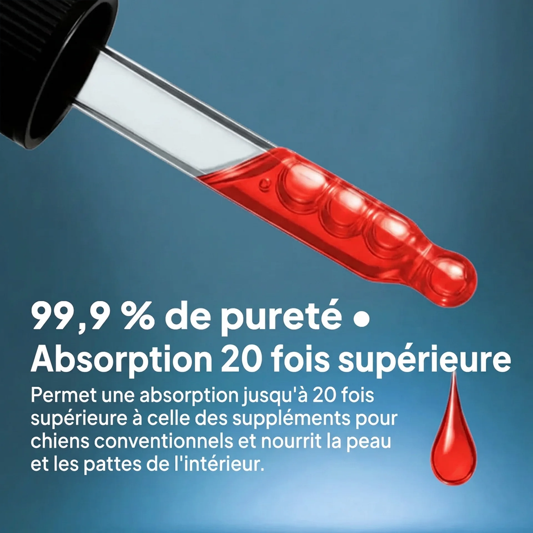 DermaPaws – Gouttes anti-démangeaisons recommandées par les vétérinaires