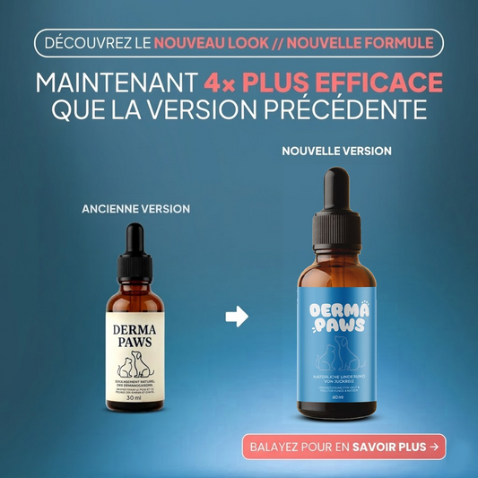 DermaPaws – Gouttes recommandées par les vétérinaires pour soutenir la fonction rénale et soulager les démangeaisons